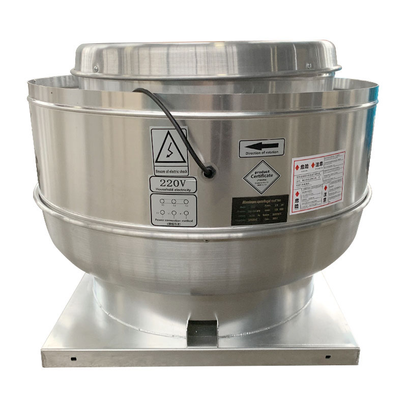 屋頂草莓视频成人APP